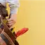Handyman repair service in Shreveport, LA for home fixes and improvements